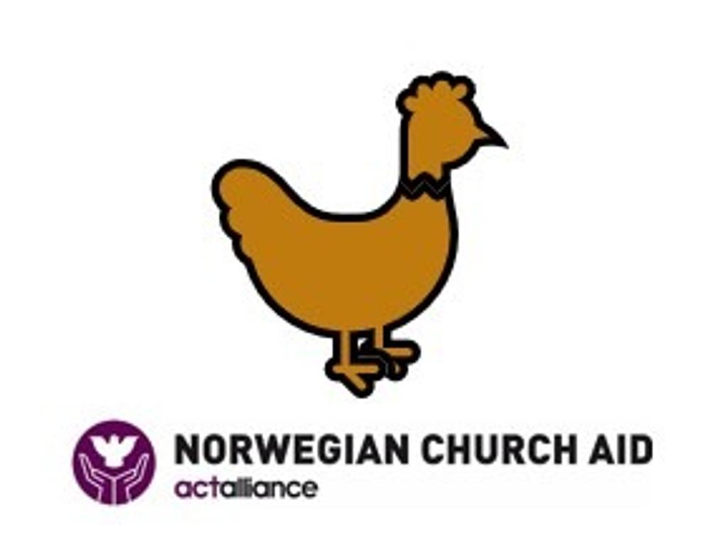 Media picture: Modern Poultry Farming